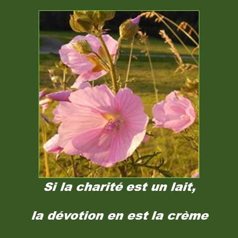 citation de Saint Francois de Sales